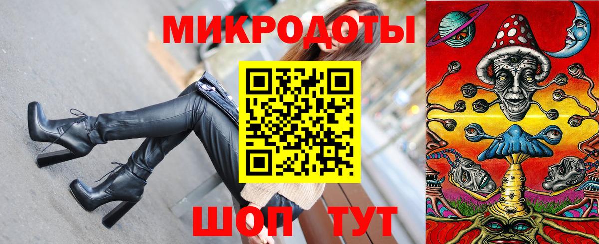 Псилоцибиновые грибы Psilocybine cubensis Славгород
