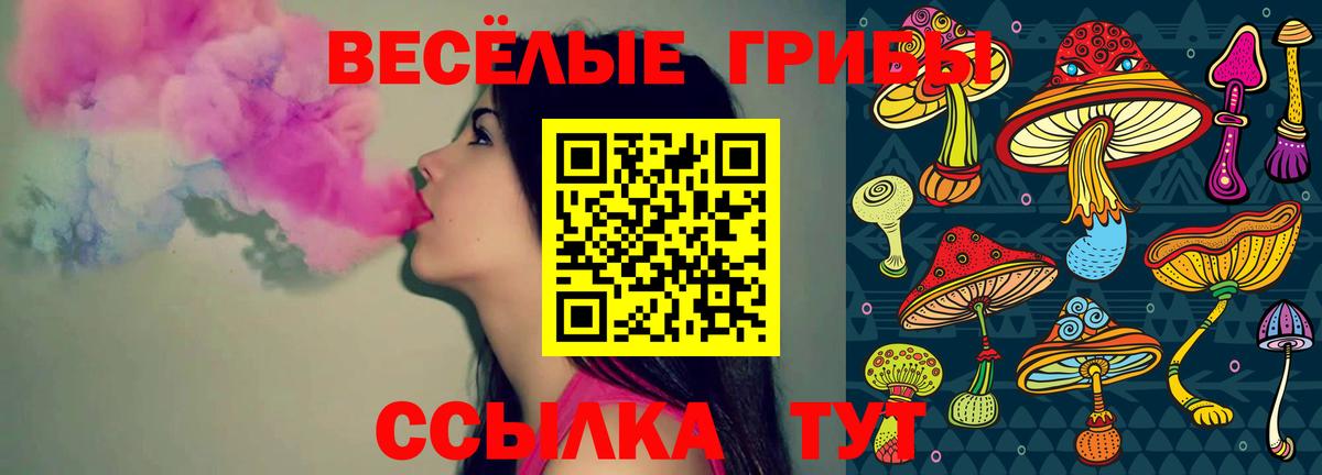 Славгород  Псилоцибиновые грибы ЛСД  Галлюциногенные грибы Cubensis  Вход с VPN 